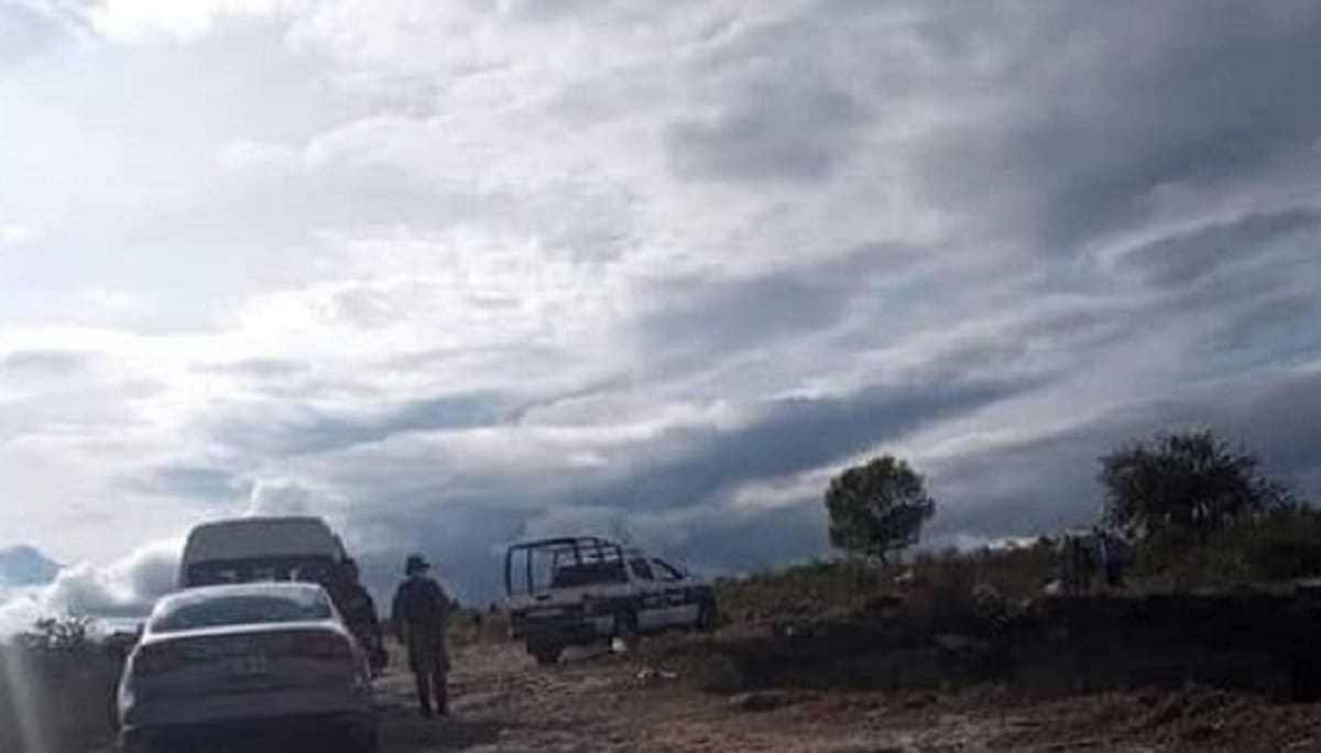 Jauría de perros devora el cadáver de una mujer en Cuapiaxtla 2 jauria perros 1