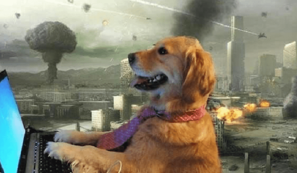 Estos son los mejores MEMES sobre el cohete chino 2 meme perro