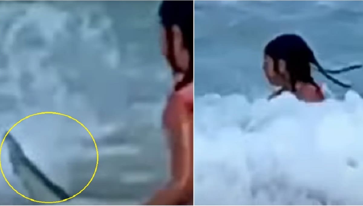 Madre captura en VIDEO a su hija luchando con un tiburón en playa de Hawái 2 tiburon 1
