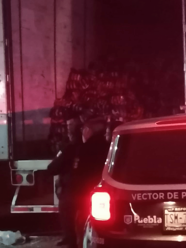 197313446 266220131954722 428401764678734371 n