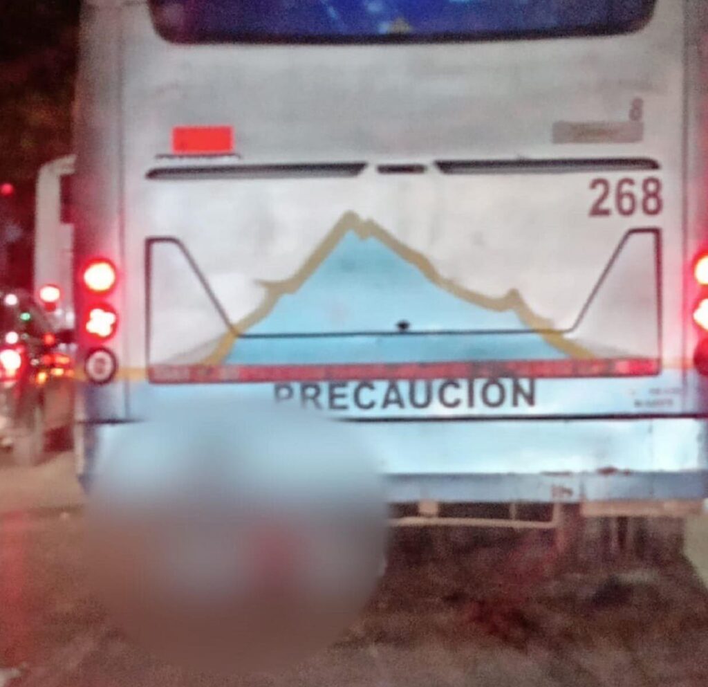 199093125 2859951280913085 2475418333673615407 n 1