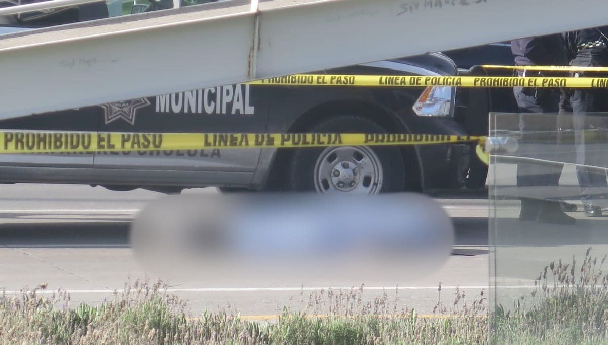 199736774 800480010669637 5404315222705678490 n