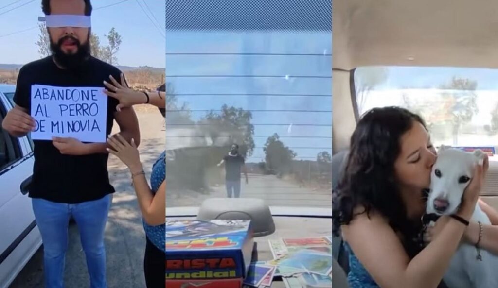 Abandona al perro de su novia 1
