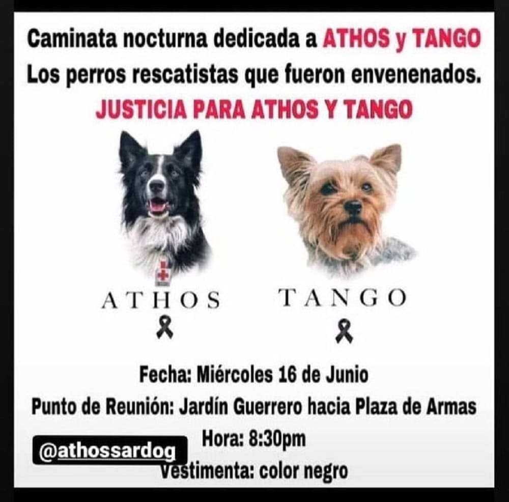 Caminata por Athos y Tango 1