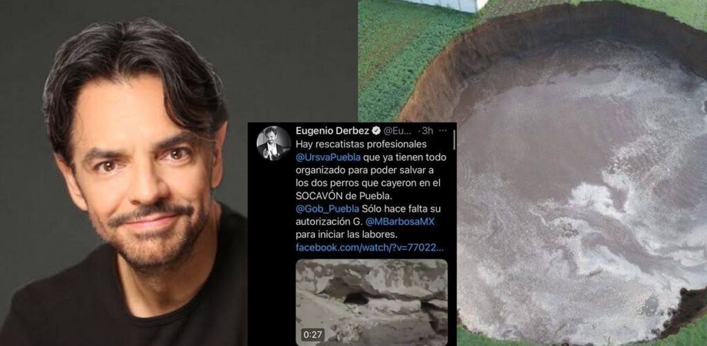 Eugenio Derbez pide rescaten a los perritos del socavon