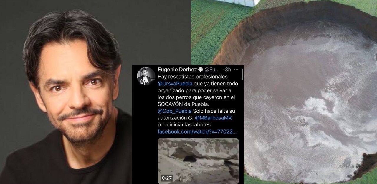Eugenio Derbez pide rescaten a los perritos del socavon