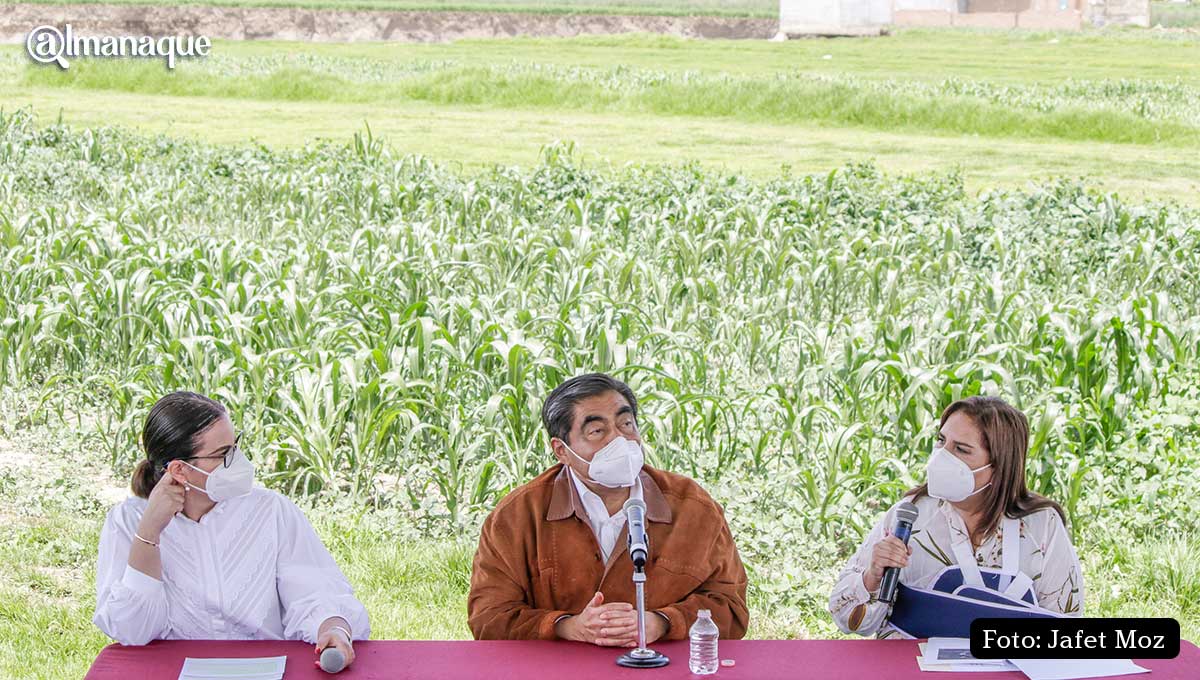Si la extracción de agua provocó el socavón, Bonafont será suspendida: Barbosa 2 Miguel Barbosa socavon Puebla 6