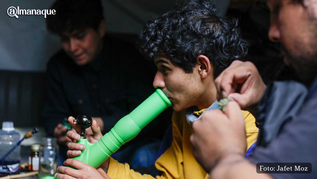 Movimiento Cannabico 420 3