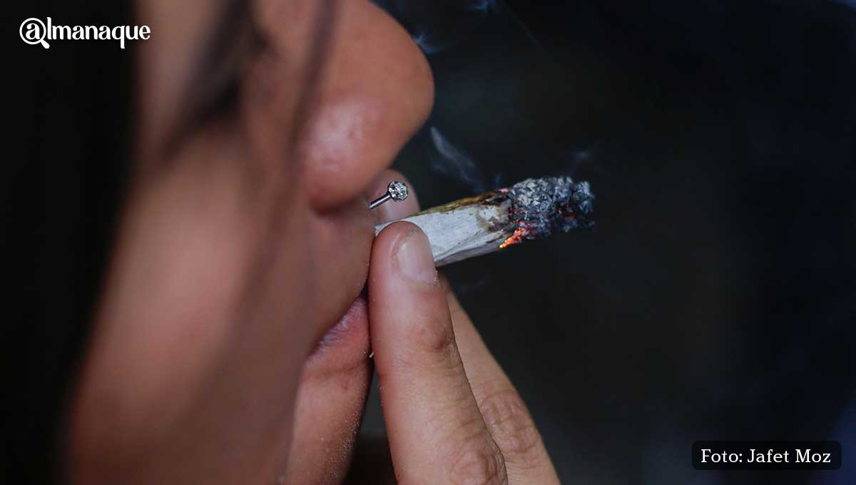 Movimiento Cannabico 420 4