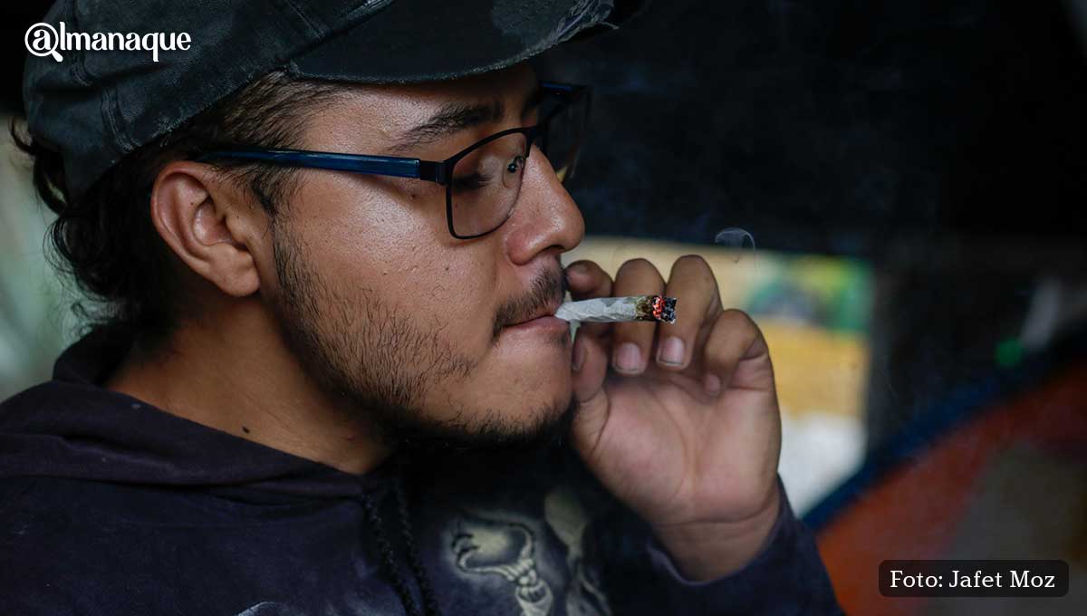 Movimiento Cannabico 420 5