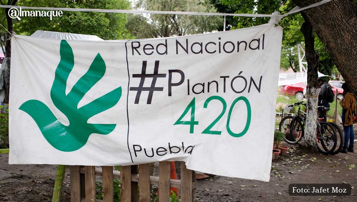 Movimiento Cannabico 420 8