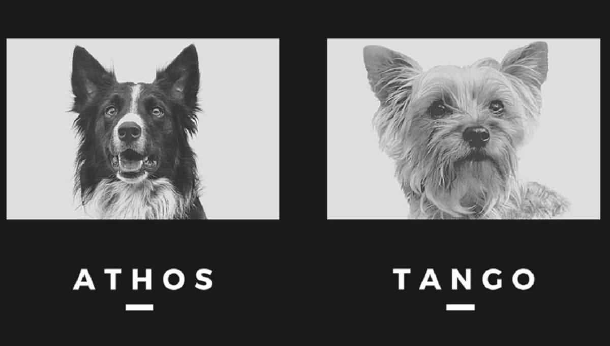 Convocan a caminata para exigir justicia por asesinato de Athos y Tango 3 athos tango 1