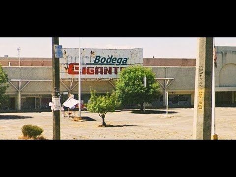 bodega gigante