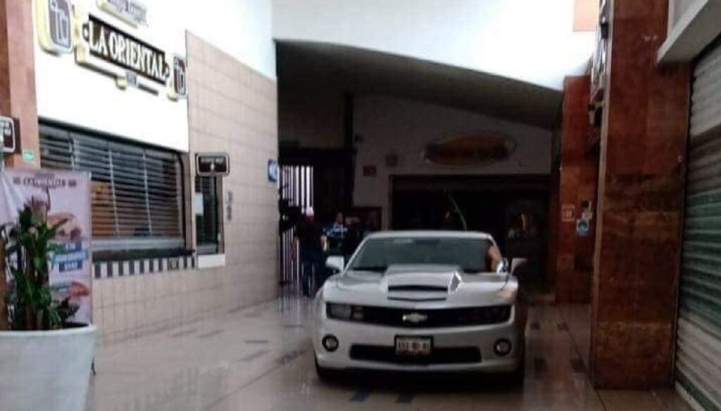 camaro plaza dorada
