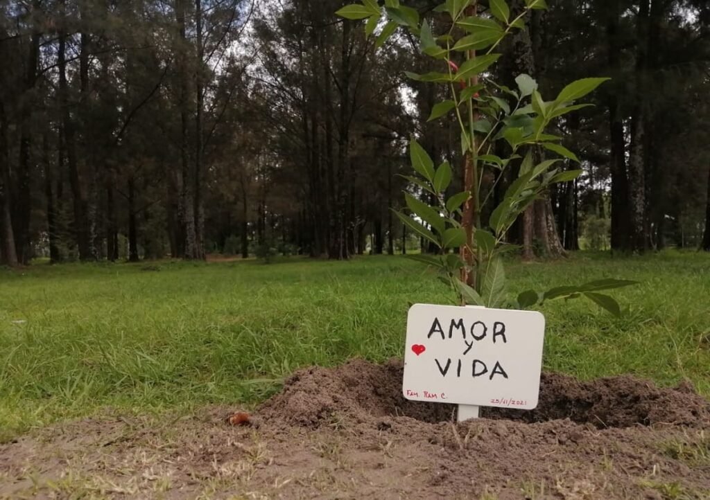 campana de reforestacion Puebla