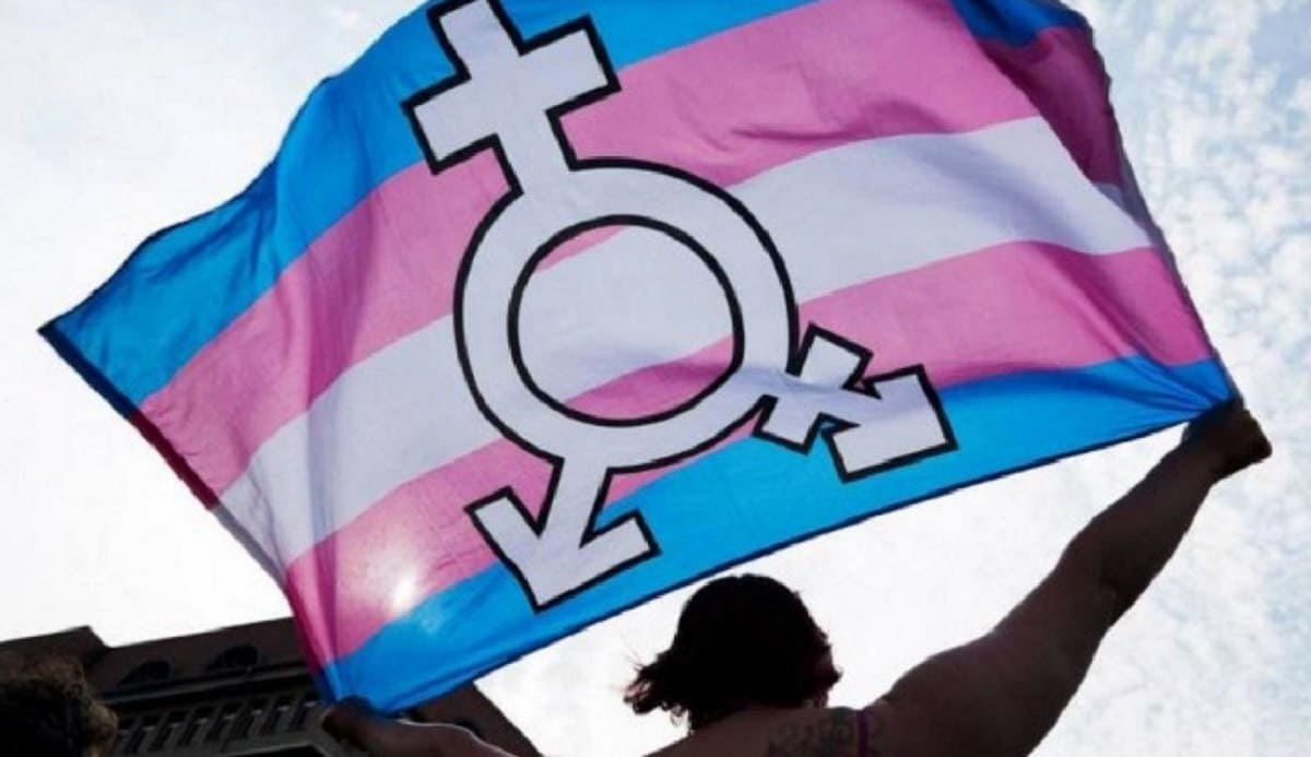 Por crímenes de odio, el promedio de vida de una mujer trans es solo de 35 años en Latinoamérica 2 colectivo trans 1