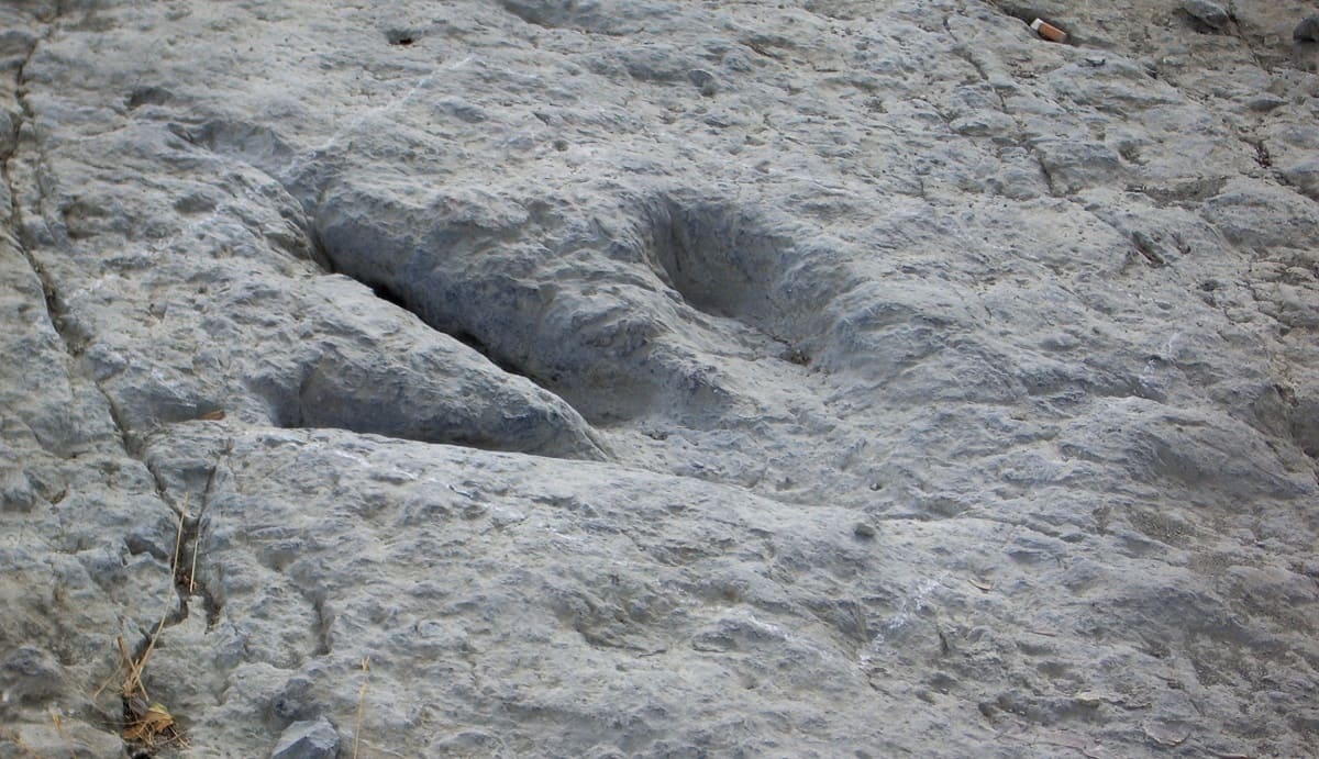 En Reino Unido, investigadores encuentran huellas de últimos dinosaurios 2 huella dinosaurio 1