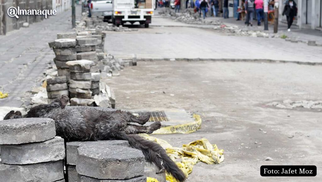 obras en las calles del centro de Puebla 7