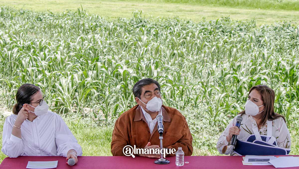 Barbosa visita la zona del socavón; aún se desconocen las causas 3 portada Miguel Barbosa socavon puebla