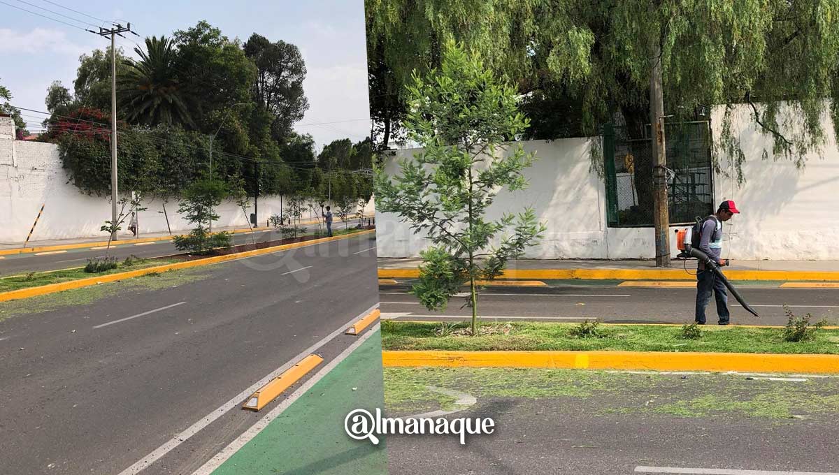 Por cierre de campaña de Claudia Rivera, Ayuntamiento poda camellones del bulevar Xonaca 4 portada mantenimiento Xonaca cierre de campana de Claudia Rivera