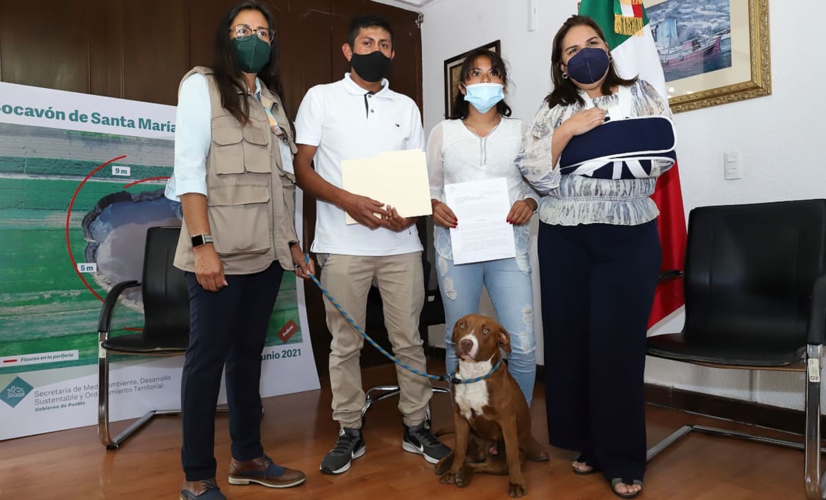 Devuelven a su dueña a “Spay”, el perrito que cayó al socavón de Puebla 3 spay.