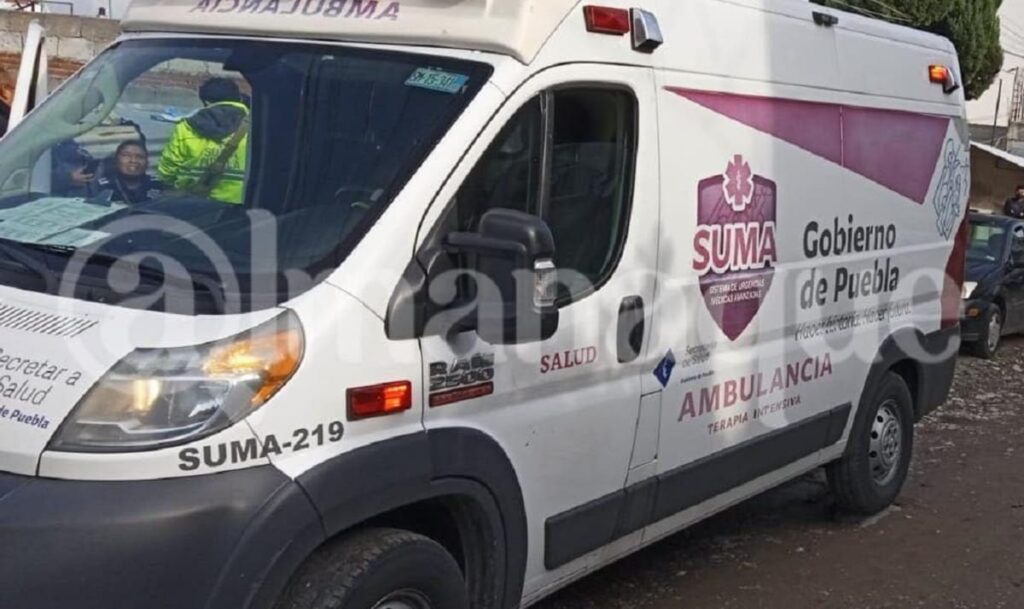 209277515 1228296537605950 2857015572628819815 n 1