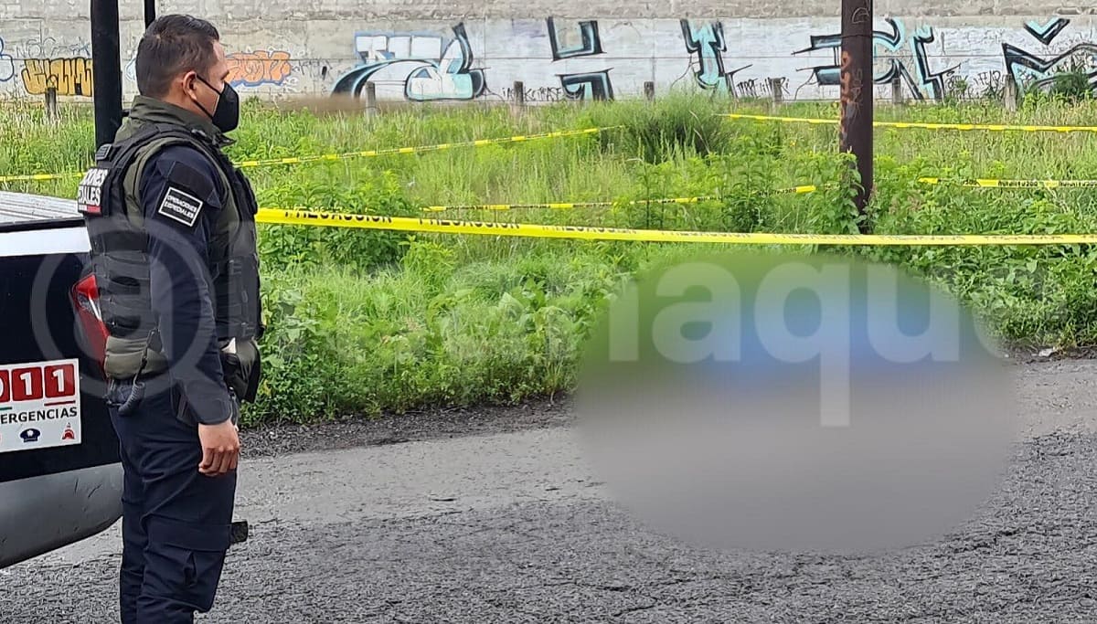 210760893 344714090530979 5504032872870840156 n 1