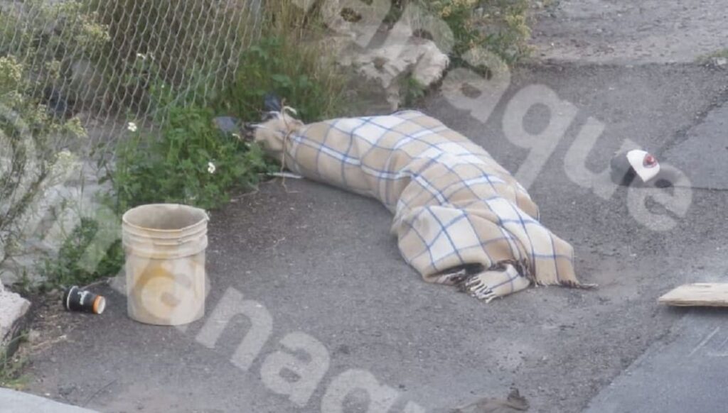 215493121 538642743844907 1284885768727156195 n 1