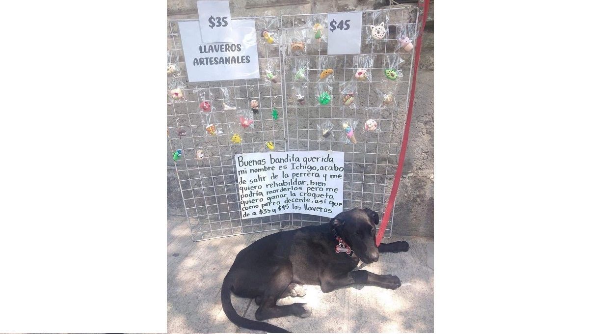 Perro llaveros