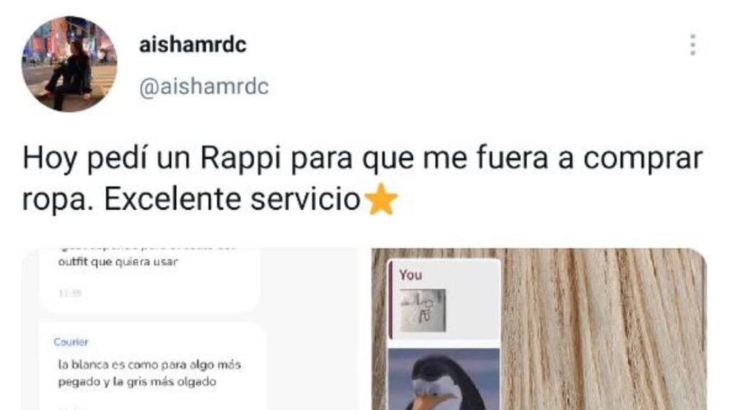 repartidor blusa Aisha