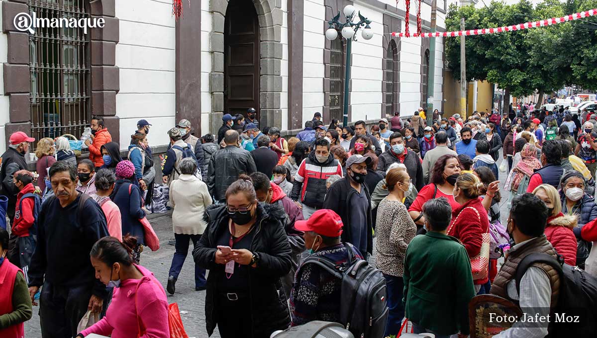 Senor de las Maravillas 8