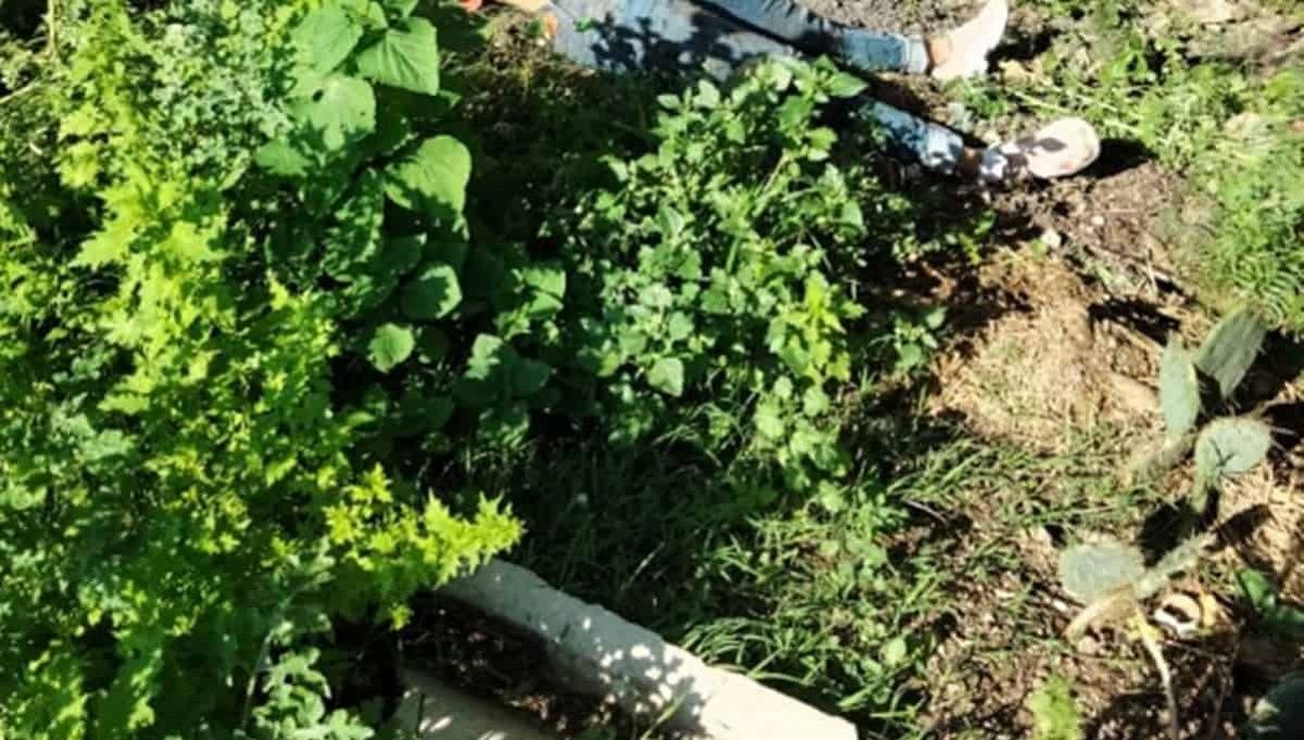 Adeline de 12 años fue hallada muerta en un lote baldío cerca de su casa en Edomex 3