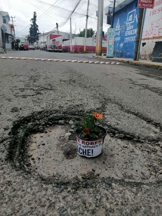 FOTOS: Adornan baches con macetas y flores como protesta en Momoxpan 22 bache