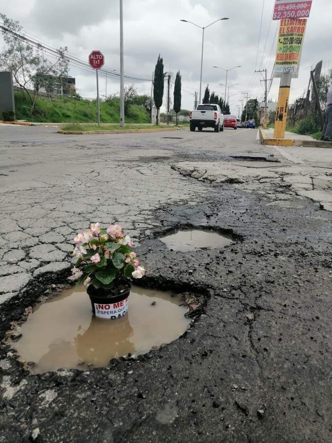 bache10