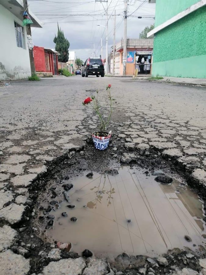 bache2