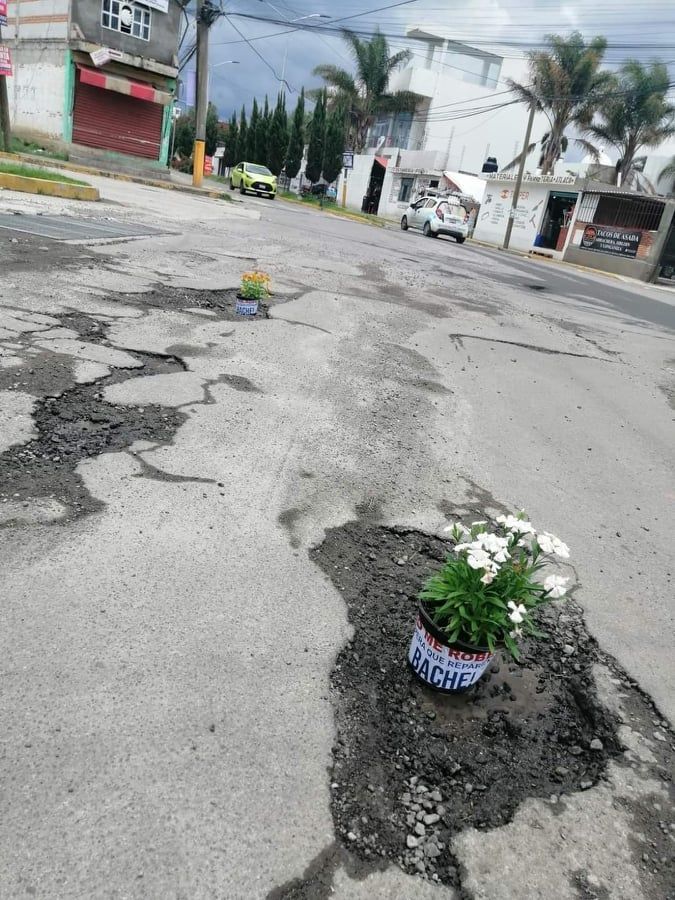 bache3