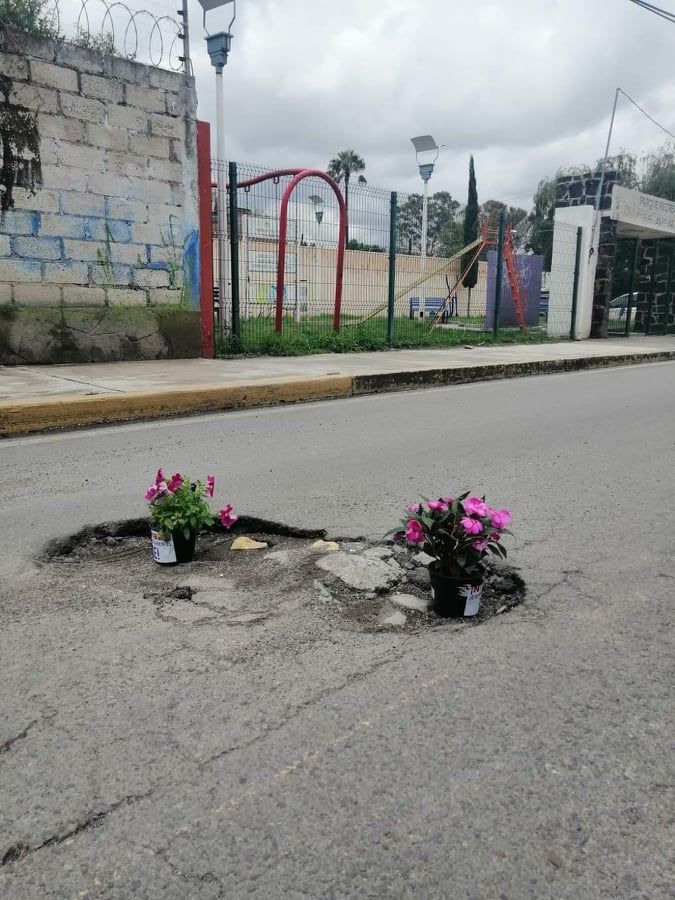 bache5
