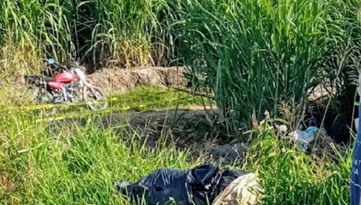 cadaveres embolsados