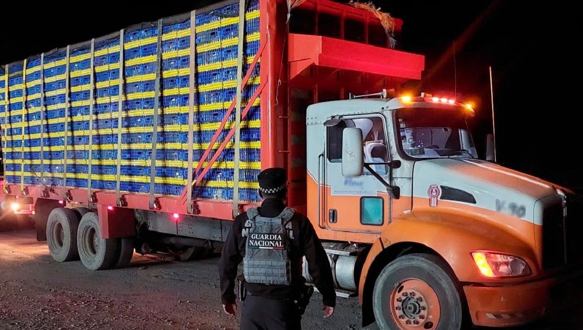 Rescatan a hombre que secuestraron para robarle su camión de carga avícola en Tehuacán 1 camion