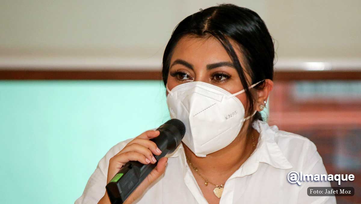Aborto y Ley de Desaparecidos se discutirán en próxima legislatura: Nora Escamilla 1 diputados pt nora escamilla 3