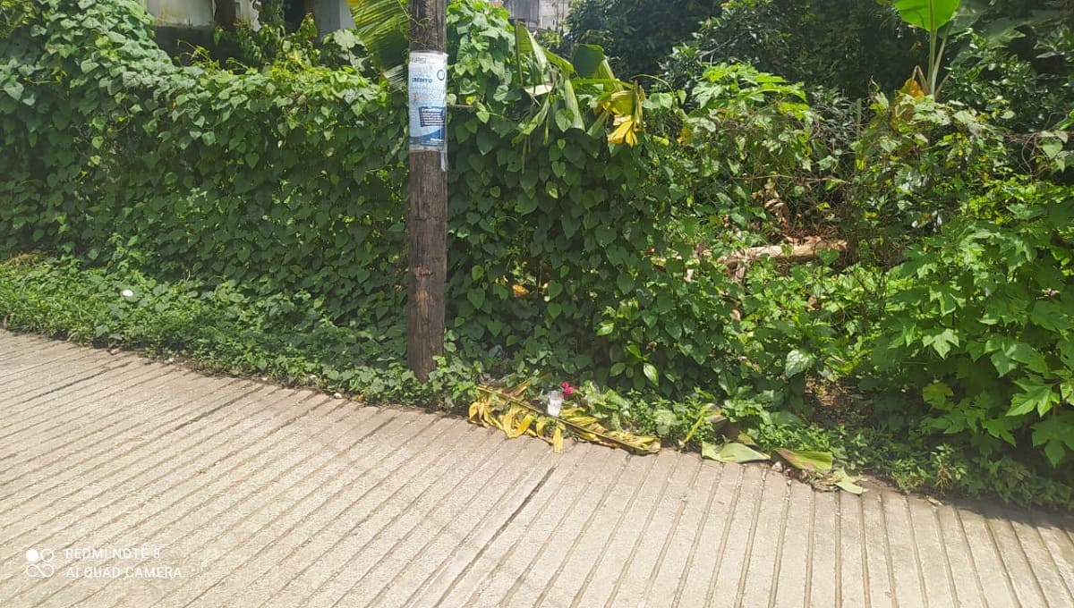 feto en Xicotepec 1