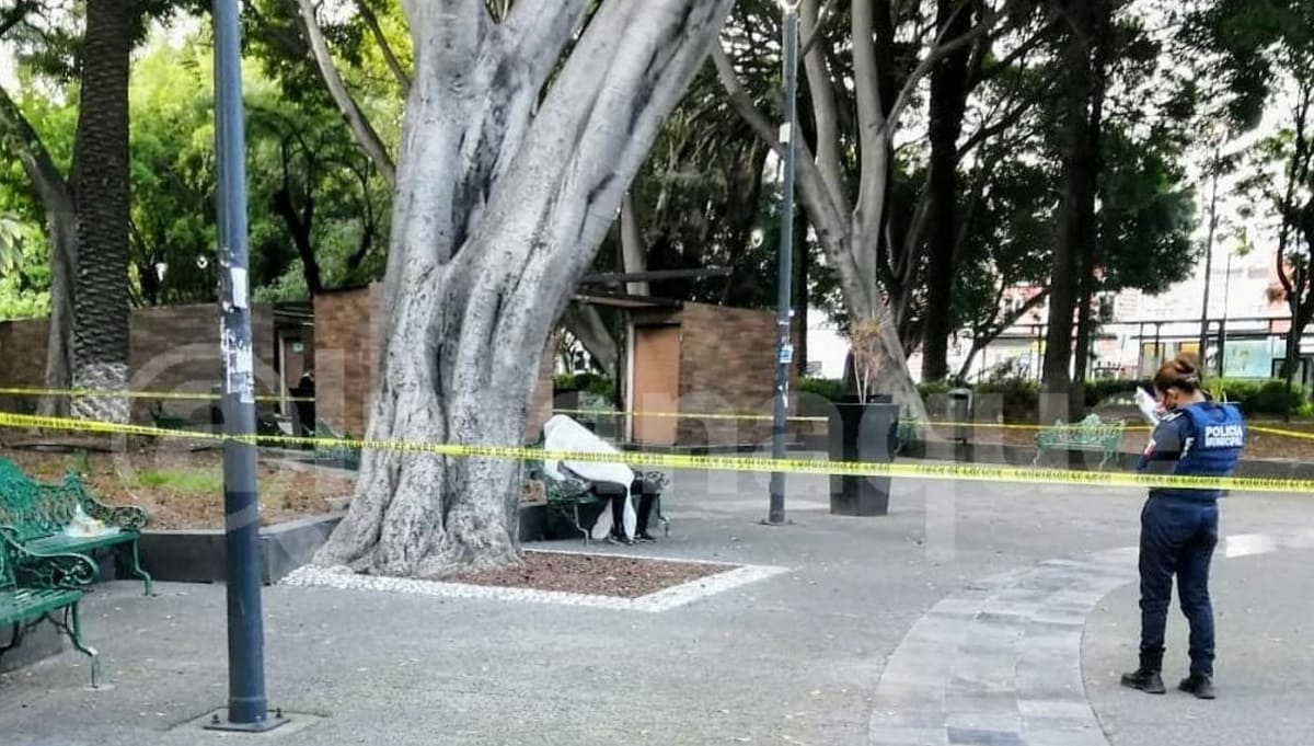 muere sentado paseo bravo 1