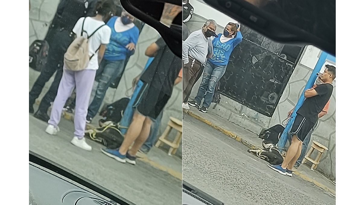 Como en Tlalnepantla, amarran y golpean a un perro en Caleras 2 perro 3