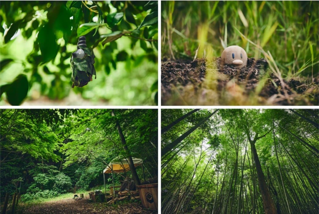 pokemón parque natural