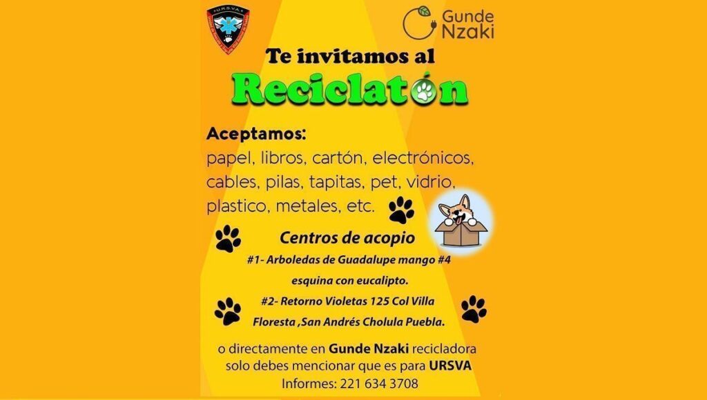 reciclaton 1