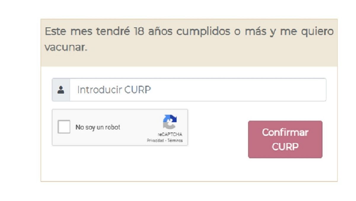 ¿Es neta? Segob explica a la “chaviza” qué es la CURP por registro de vacunación 2 registro mayores de 18 vacuna