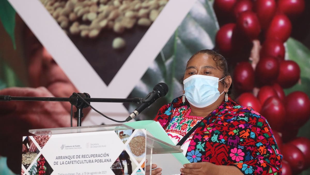 Apoyo al campo y combate a la corrupción, prioridad para los gobiernos de la 4T: MBH 1 Apoyo al campo gobierno de puebla 1