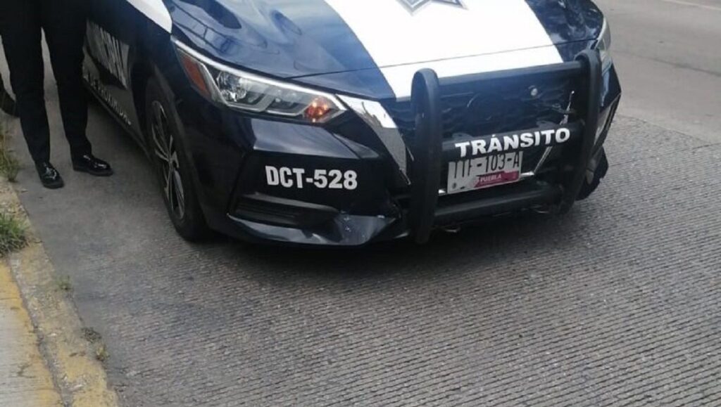 Guadalupe crisanto 1