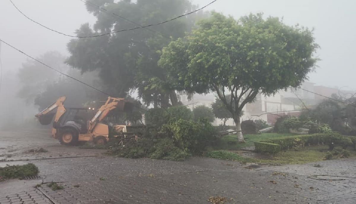 Cortes de luz, caídas de árboles y caminos bloqueados tras el paso de "Grace" en Huauchinango 1 Huauchinango 1