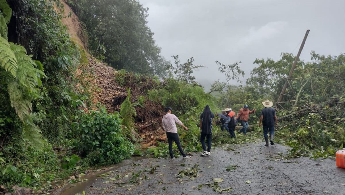 Puebla te necesita: En estos puntos puedes donar víveres para los damnificados del huracán Grace 2 Huauchinango5